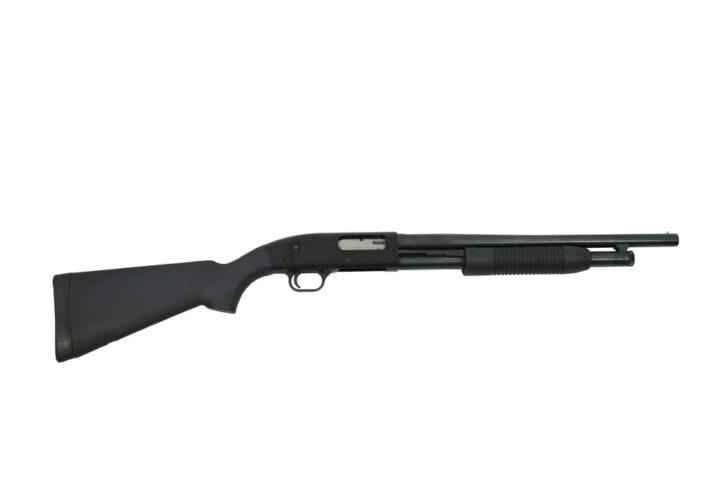 Disarming the dangerous- Fairfax criminal lawyer comments- Firearm image