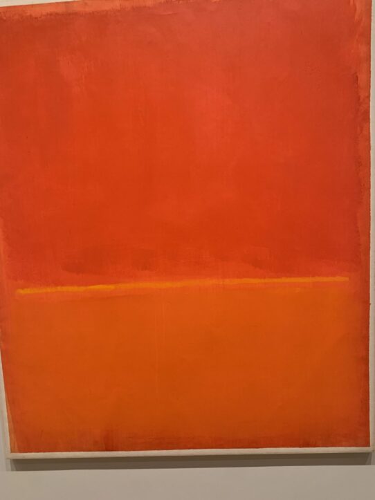 Dissect Virginia statutes says Fairfax criminal lawyer- Image of study in orange