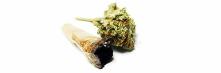 Virginia court contempt- Image of marijuana and joint