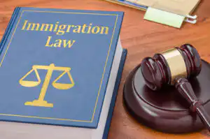 Moral turpitude convictions can sink immigration status - Fairfax criminal lawyer