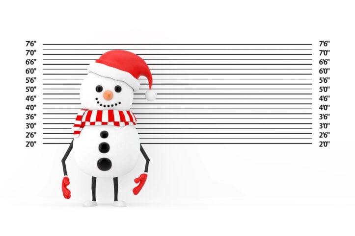 Fairfax holiday arrests call for full defense, says VA lawyer- Image of snowperson mugshot