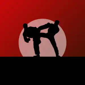 Courtroom battling with the glee of a martial artist in the snow - Virginia lawyer