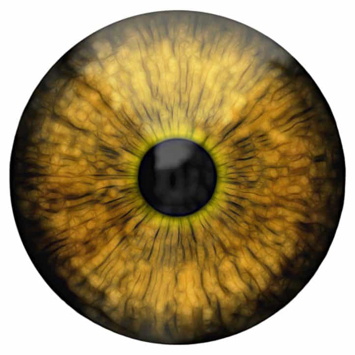 Virginia identification law - Image of eye